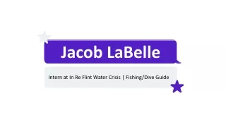 Jacob LaBelle - Intern at In Re Flint Water Crisis