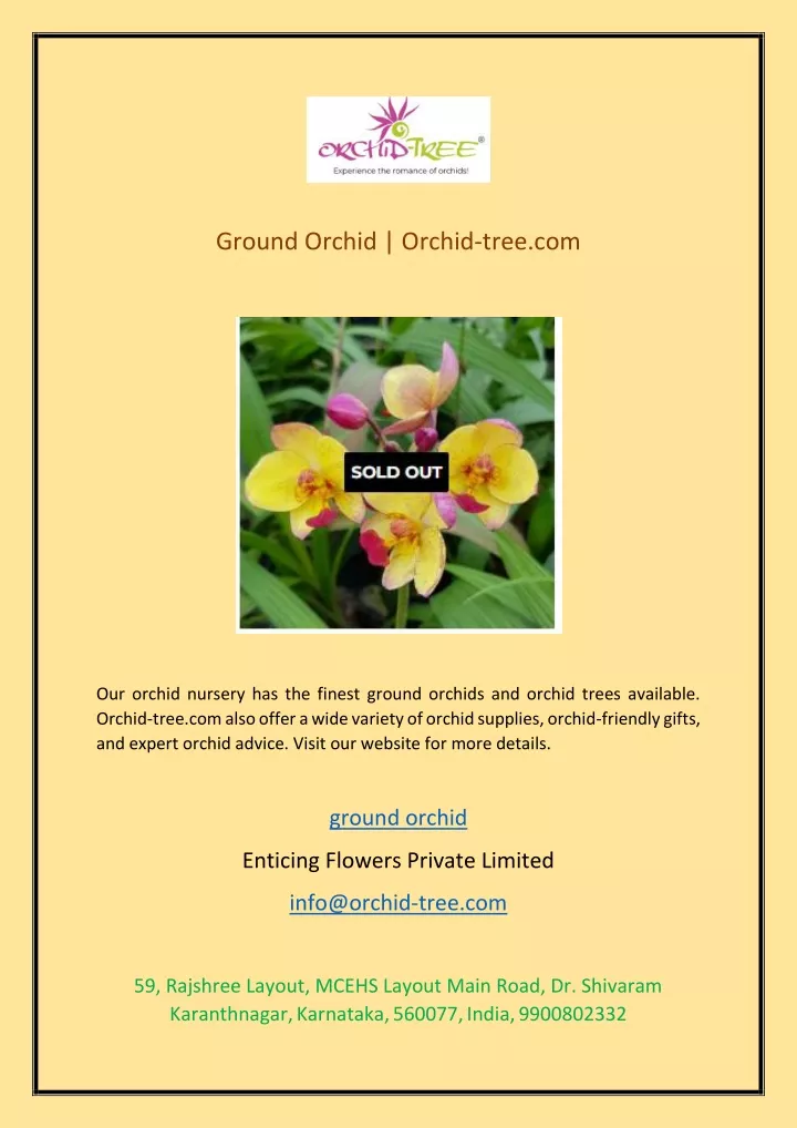 ground orchid orchid tree com