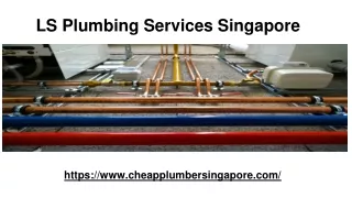 LS Plumber Services