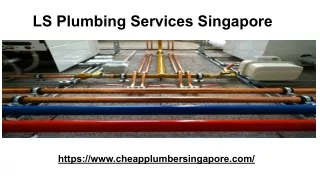 LS Plumber Services