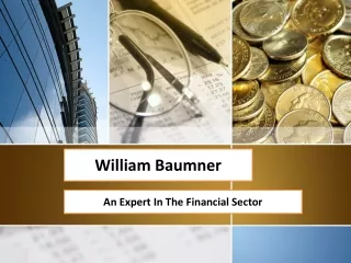 William Baumner - An Expert In The Financial Sector