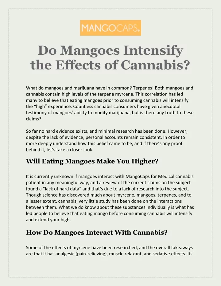 do mangoes intensify the effects of cannabis