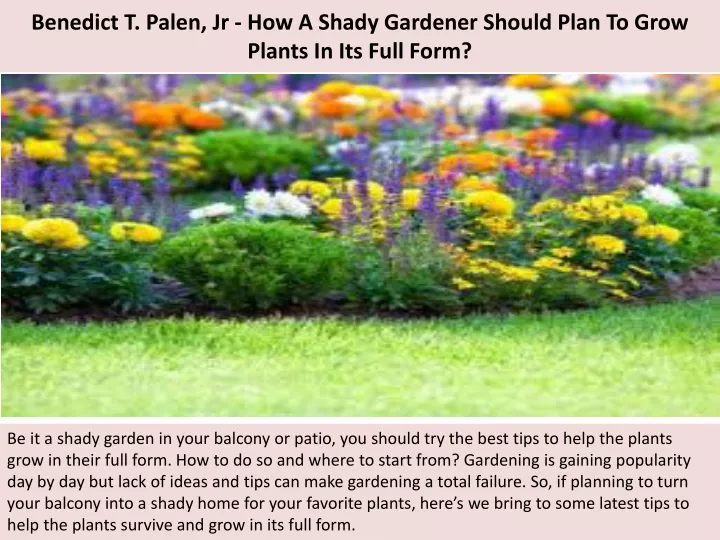 benedict t palen jr how a shady gardener should plan to grow plants in its full form