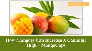How Mangoes Can Increase A Cannabis High – MangoCaps