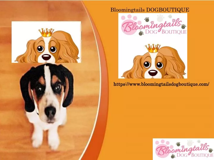 bloomingtails dogboutique