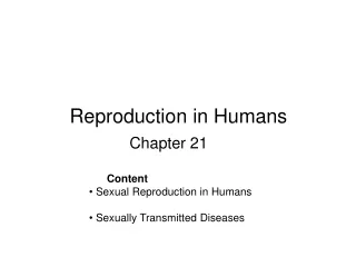 Reproduction in Humans (part 1): Human Reproductive System