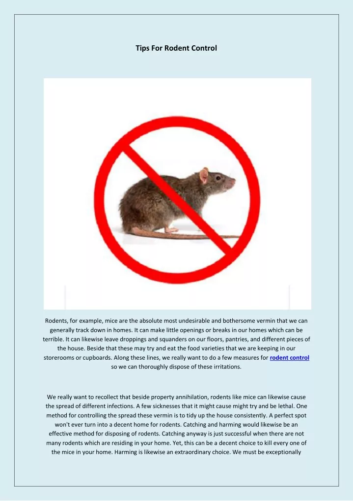 tips for rodent control