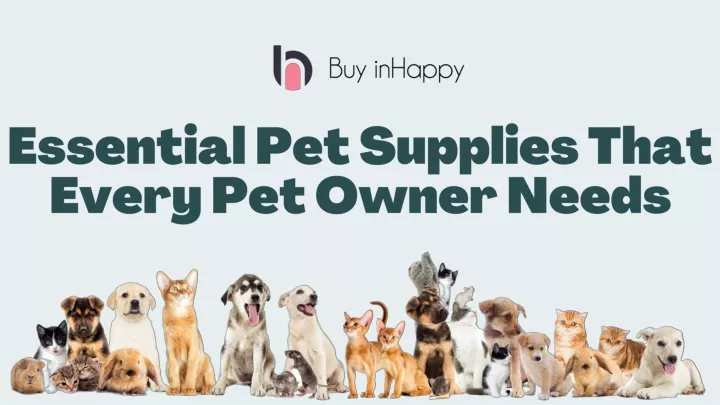 essential pet supplies that every pet owner needs