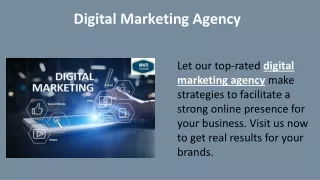 Digital Marketing Agency 3