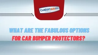 What are the Fabulous options For Car Bumper Protectors?
