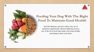 Best Human Grade Dog Food | Tukkamate