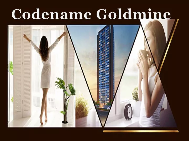 codename goldmine