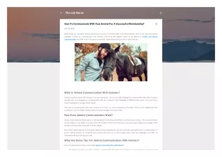 the lab horse