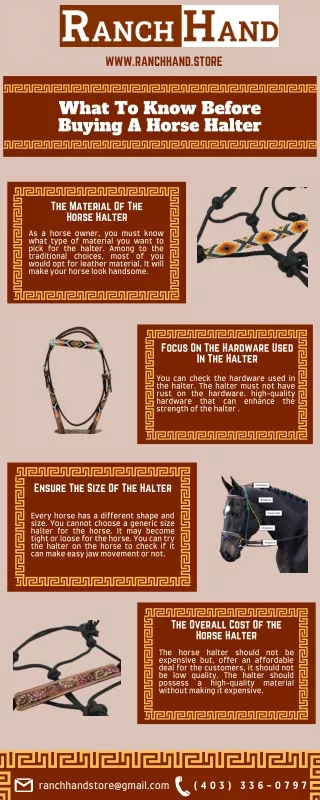 What To Know Before Buying A Horse Halter