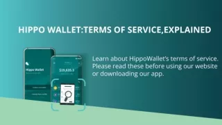 Hippo Wallet Outlines Its Terms of Service