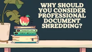 why should you consider professional document