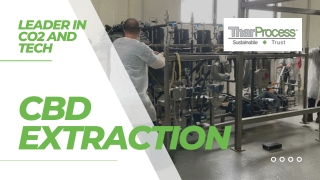 CBD Extraction - Thar Process