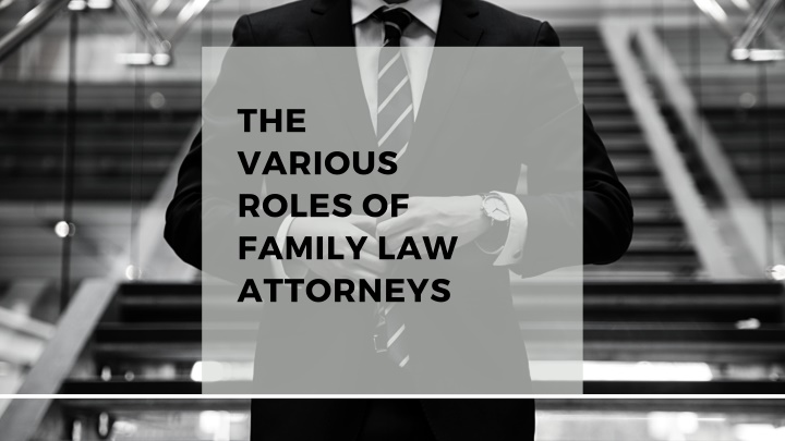 the various roles of family law attorneys