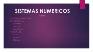 sistemas numericos