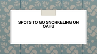 spots to go snorkeling on oahu