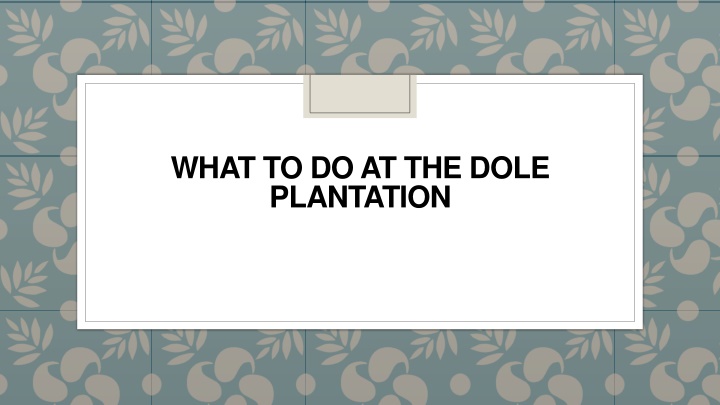 what to do at the dole plantation