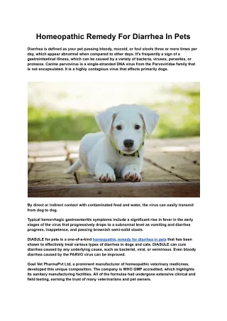 homeopathic remedy for diarrhea in pets