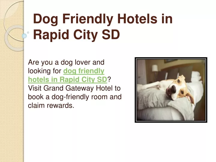 dog friendly hotels in rapid city sd