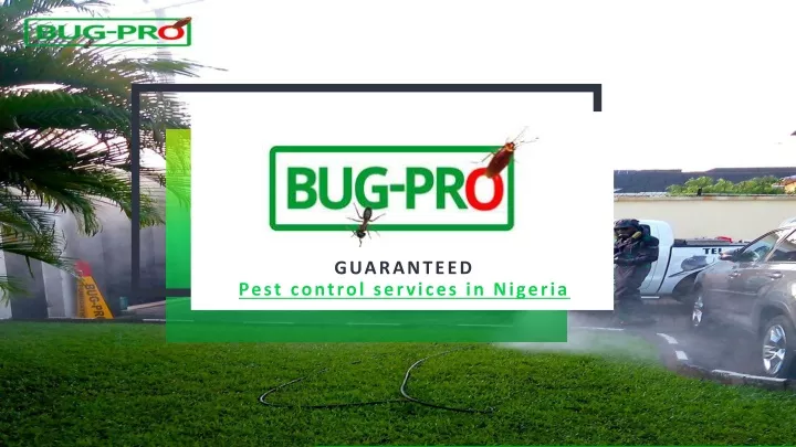 guaranteed pest control services in nigeria