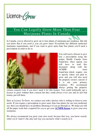 You Can Legally Grow More Than Four Marijuana Plants In Canada