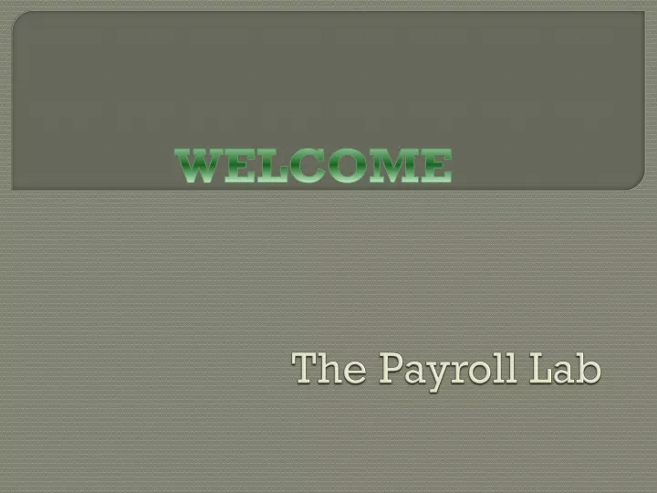 the payroll lab