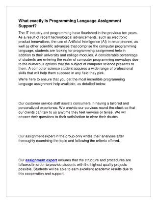 what exactly is programming language assignment