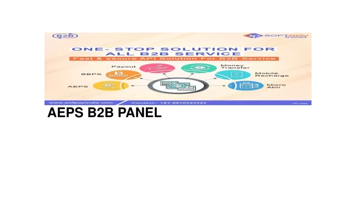 aeps b2b panel