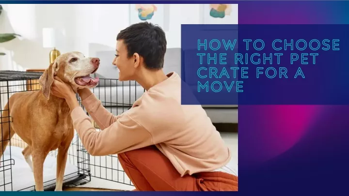 how to choose the right pet crate for a move