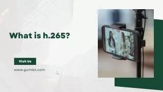 What is h.265