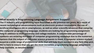 what exactly is programming language assignment