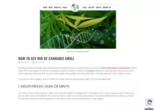 HOW TO GET RID OF CANNABIS SMELL
