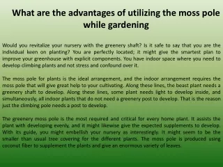 What are the advantages of utilizing the moss pole while gardening?