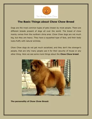 The Basic Things About Chow Chow Breed
