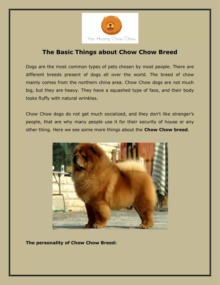 the basic things about chow chow breed