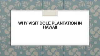 why visit dole plantation in hawaii