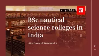 bsc nautical science colleges in india