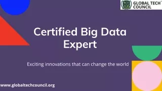 Certified Big Data Expert | Global Tech Council
