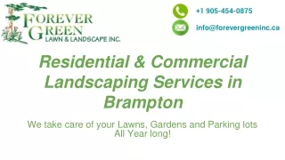 Commercial Landscaping Benefits and Maintenance