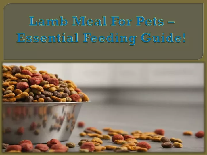 lamb meal for pets essential feeding guide