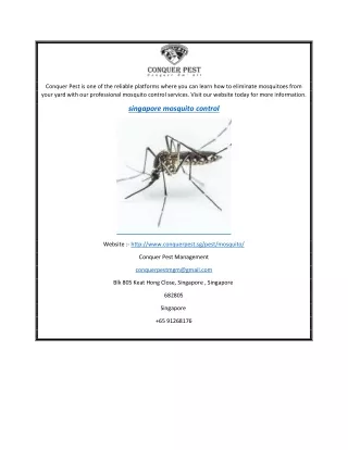 Singapore Mosquito Control  Conquer Pest