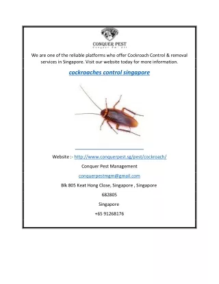Cockroaches Control Singapore  Conquer Pest