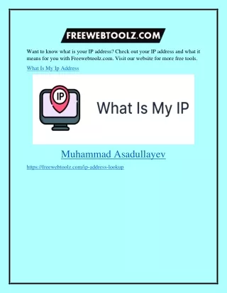 What Is My Ip Address Freewebtoolz.com