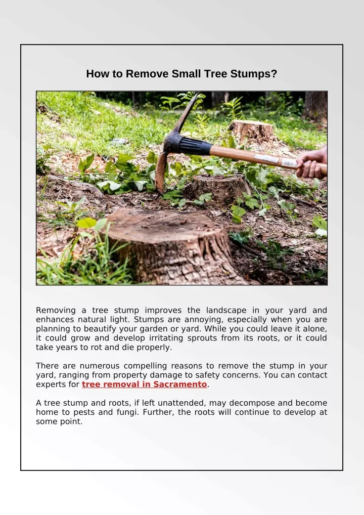 how to remove small tree stumps