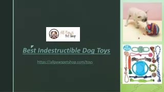 Best Indestructible Dog Toys