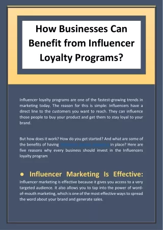 How Businesses Can Benefit from Influencer Loyalty Programs